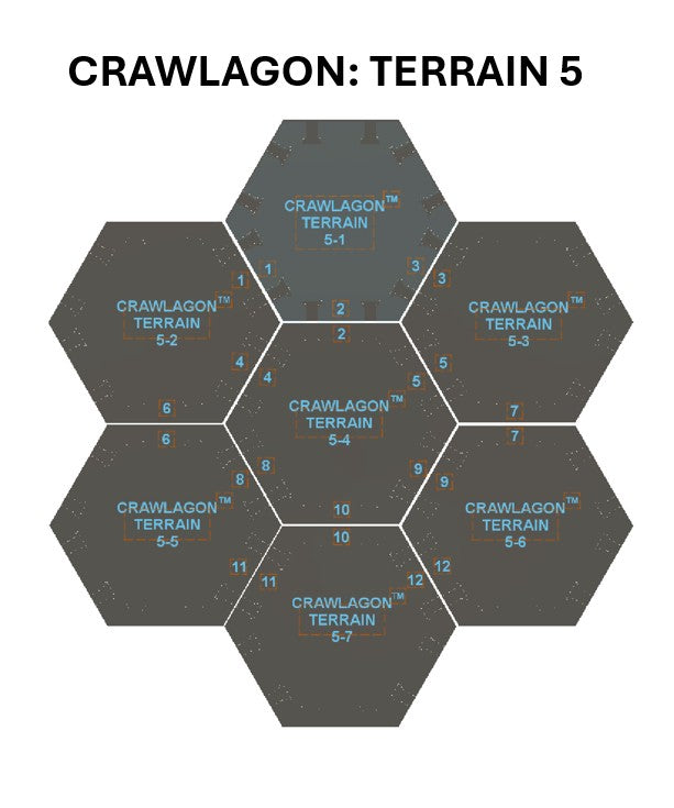 Terrain 5