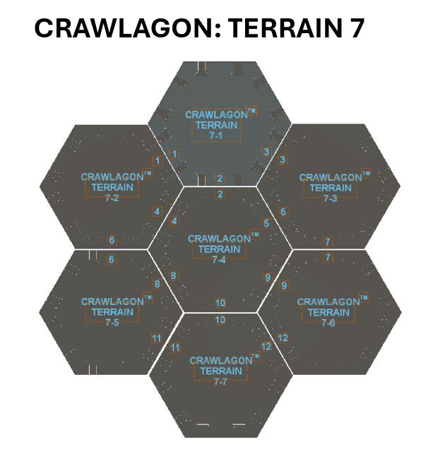 Terrain 7